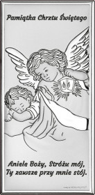 6656/2 - Ikona - Chrzest Święty